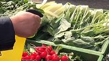 德国农民在复活节前夕拉上自己家的丰收果实和正在下蛋的母鸡进城庆祝节日！德国 农村