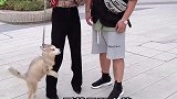 今天出门赚了好多个二百五