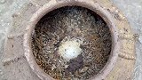 四川广安明代古墓出土500年前鸡蛋 外形保存完好案例罕见