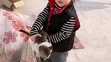 我的童年：这样的宝贝你们喜欢吗？