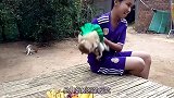 猴子偷了一只小奶猫，误以为是自己的孩子，抱着不撒手