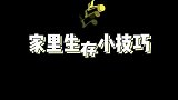 在弟弟眼里，今天谁都好看…