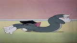 猫和老鼠：汤姆为了教小猫抓鼠吃尽苦头小猫却和杰瑞成好朋友
