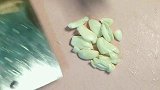 自制五指毛桃香菇焖鸡，鸡肉嫩滑香气四溢太好吃，家人都赞不绝口