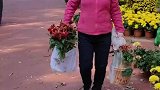 老人组团推车搬走公园菊花，公园：个人行为已经在制止