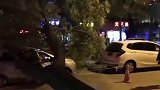 惊险！大树突然倒下砸中车辆 车顶砸穿车门挤压变形