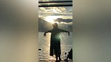 太美了！杨丽萍海边夕阳下跳舞，身姿灵动背影杀超迷人