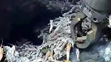 海底火山口附近的盲虾，打捞都需要专业工具