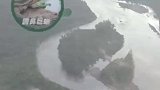 中国生态环境在变好，许多国宝动物陆续复出