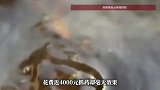 江苏病人到上海求医，遭遇“全奥斯卡”诊所，全是演员！