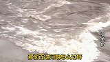 搞笑改歌《孙悟空唱歌》流沙河遇沙悟净，悟空要饭记