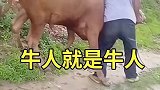 大爷不亏是大爷啊，直接一招就将牛放倒了