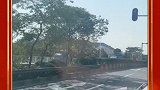 东莞无意间拍到，这一幕让我开眼了，这红绿灯是多余的吗
