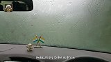 冬天开车玻璃起雾，可别按除雾键！教你10秒除雾法，真实用