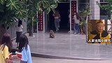 网友：猴哥表示看到了妖怪，追过去发现看 花眼了  猴 女生宿舍
