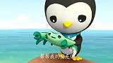 海底小纵队：膨胀怪占地盘打架，皮医生帮助它们和谐相处