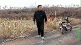 金毛野外发现个土洞，小虎伸手一掏就被咬流血了，里面动物可真凶