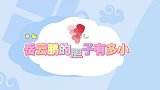 岳云鹏的胆子有多小被骗跳伞吓到大声嚎叫，两个教练都拉不住他