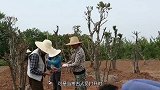 古墓挖出千年的文物，至今无人看懂，专家一句话让人嬉笑
