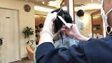 永不过季的“固体形”短发，时尚显年轻，不烫不染也很美