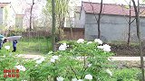 小伙伴玩充气床，没想圆圆把伙伴们都挤进沟里去了，真逗