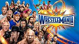 WWE-17年-第33届摔跤狂热大赛全程（清风解说）-全场