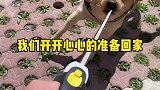 希望更多人包容狗狗