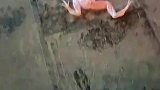 牛蛙经过处理后，竟还能在地上跳跃