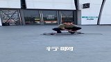 10岁小帅哥挑战滑滑板跳绳，接下来的一幕，不服不行