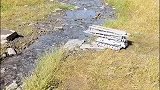 遇水架桥，通过后再回收，这个坦克真智能
