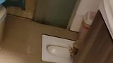 猫咪模仿人蹲坑上厕所姿势标准