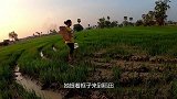 女孩稻田玩耍，捕获漂亮金鱼，这下发财了
