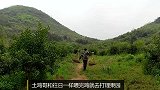 青年夫妇深山创业十年历尽艰辛，终于实现了他们想要的田园生活