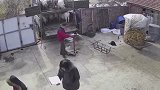 村里监控无意间拍到的一幕，网友看着都疼！