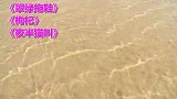 民间故事《翠绿拖鞋》《枸杞》《夜半猫叫》