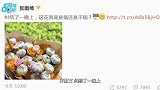 张雨绮收到蒜头花 绿洲晒照问“这花插还是不插”