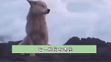 这一定不是真的吧