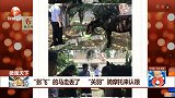 “张飞”的马走丢了 “关羽”骑摩托来认领