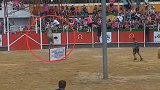 西班牙一斗牛比赛中公牛突发怒 冲上观众席致17伤