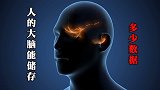 如果把人的大脑，看成电脑cpu，它可以储存多少数据？