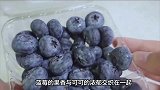 面包界的“爱马仕”，用铸铁锅烤制欧式面包，酥脆与柔软完美融合