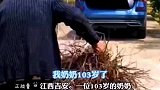 百岁奶奶上山砍柴塞满孙子后备箱，这是她认为最好的东西