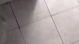 女子打扫厕所，结果扫的水是成团的