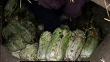 哈尔滨连环女屠夫大案  (一)  真实案件