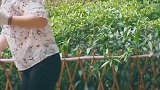 男子送给女朋友一件全球限量的衣服，逛公园竟然碰到了第二件