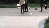 大爷因纸箱发生冲突，女子挺身而出