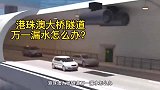 港珠澳大桥隧道，万一漏水怎么办