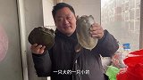 胖龙140买两个甲鱼，做甲鱼面条汤，汤浓肉鲜，甲鱼盖太香了