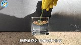硫酸的腐蚀性有多强将一只苍蝇放进硫酸中，看反应就知道