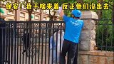 保安我干啥来着，我的餐呢